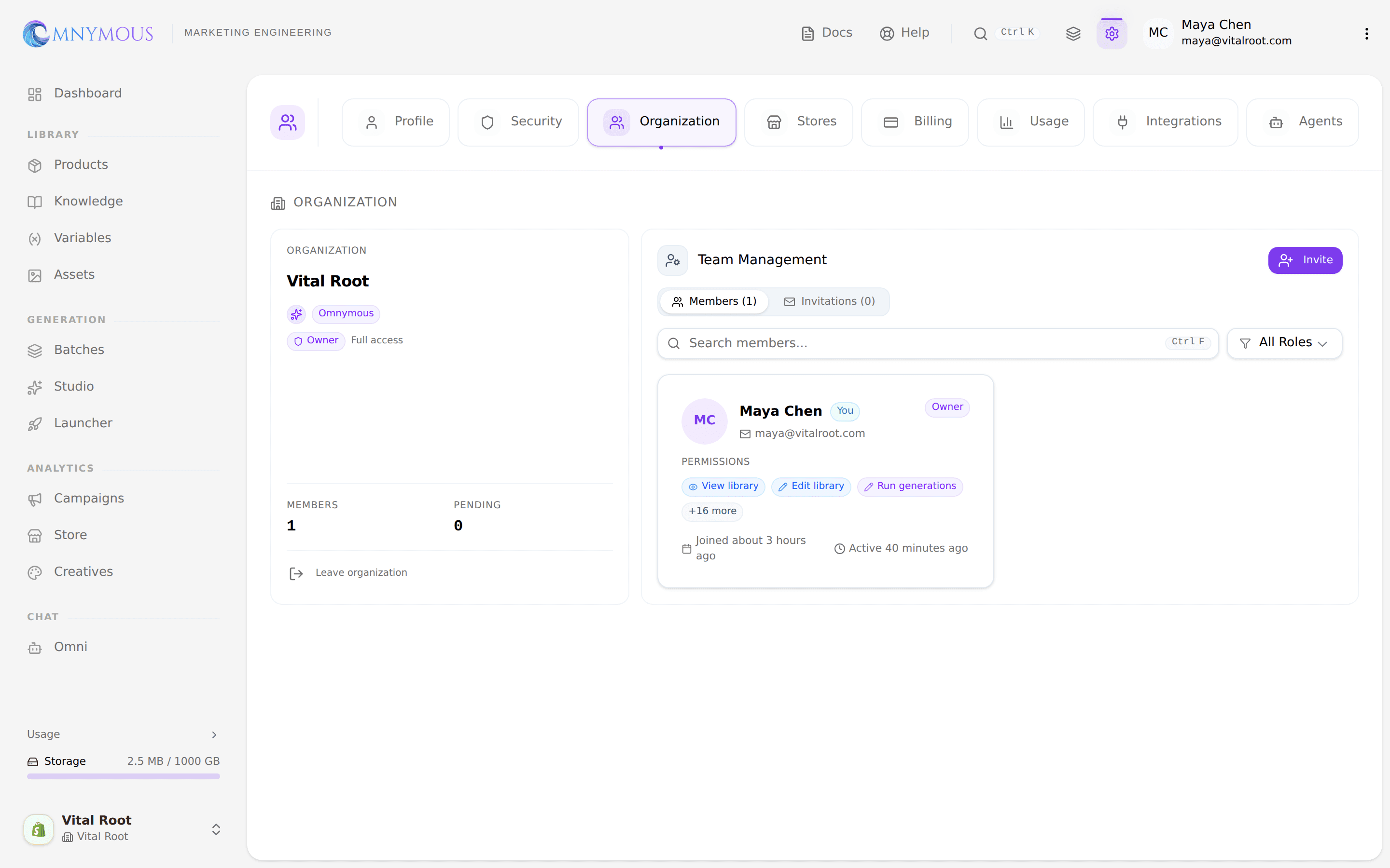Organization settings: the workspace card beside Team Management with the member list