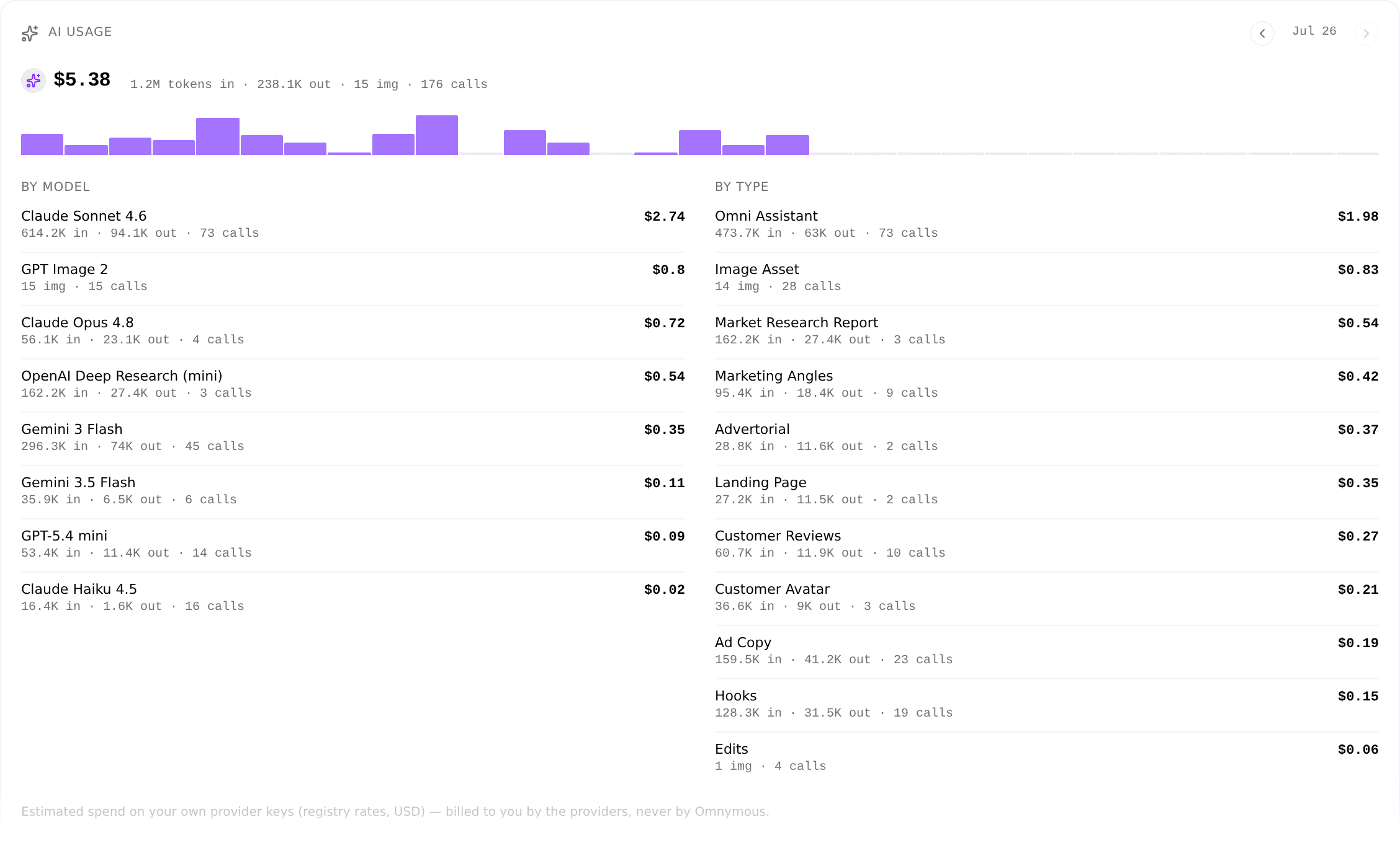 The AI Usage block: monthly spend headline, daily bars, and the By Model and By Type breakdown tables