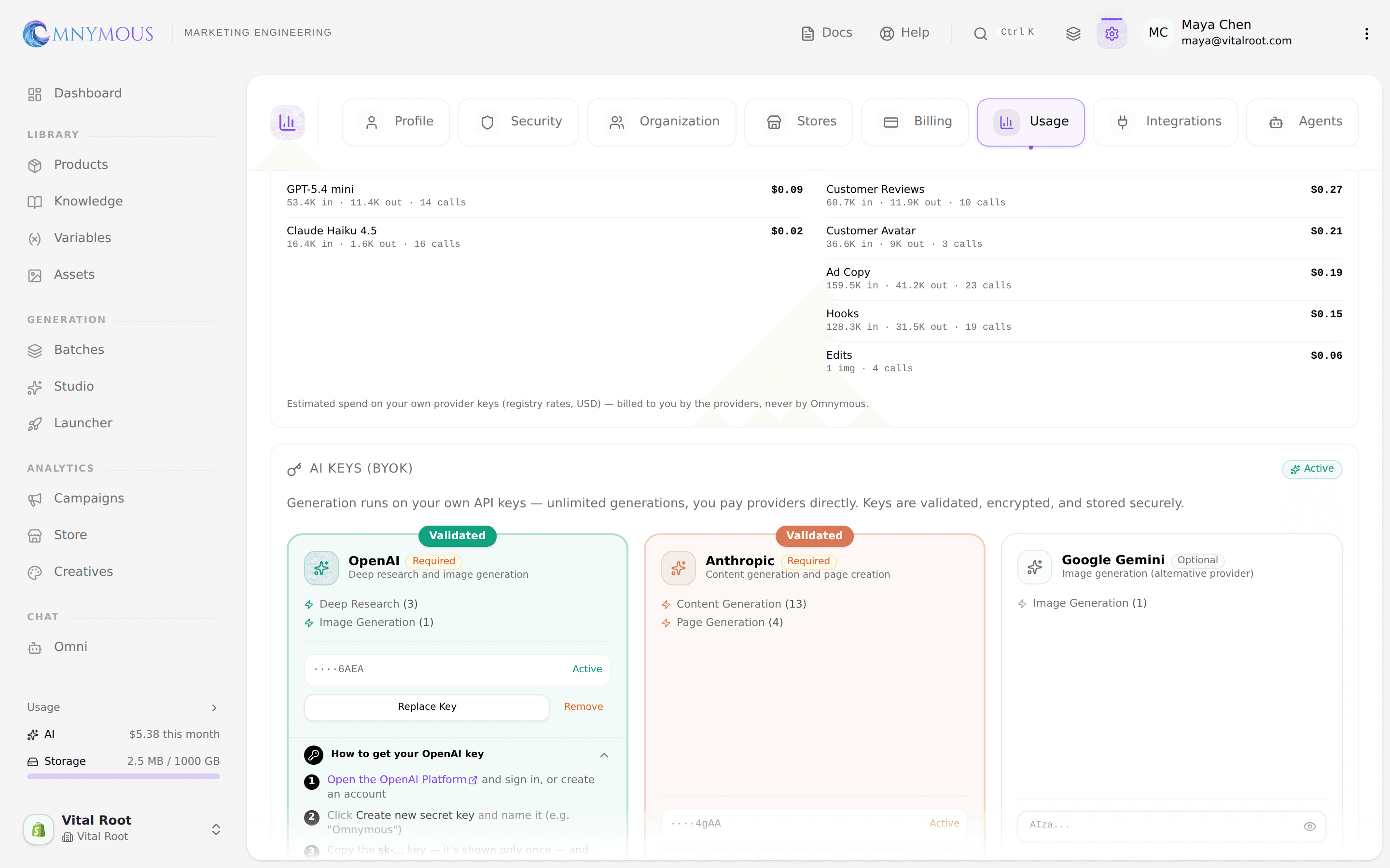The OpenAI card with its "How to get your OpenAI key" guide expanded, next to the paste-key field and Validate & Save button