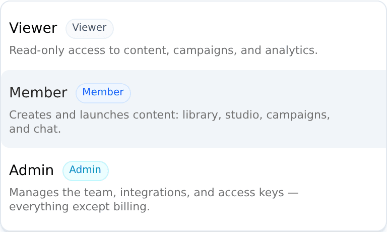 The role picker showing Viewer, Member, and Admin with their descriptions