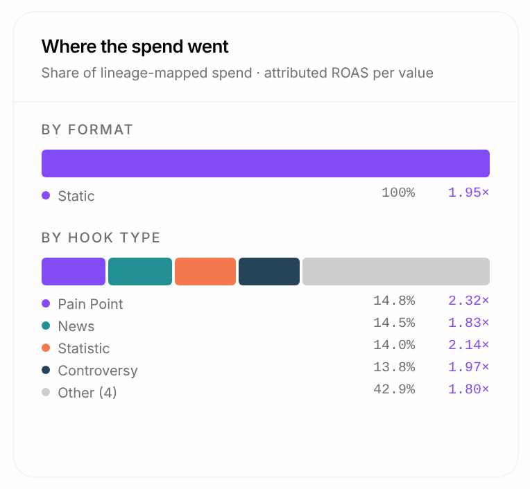 Where the spend went: By format, Static 100% at 1.95×, and By hook type, Pain Point 14.8% at 2.32× down to Other at 1.80×