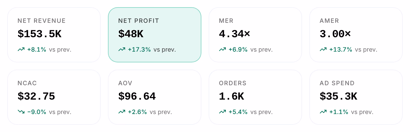 The eight tiles of Store Overview: Net Revenue, Net Profit, MER, aMER, nCAC, AOV, Orders and Ad Spend, each with its change against the previous period
