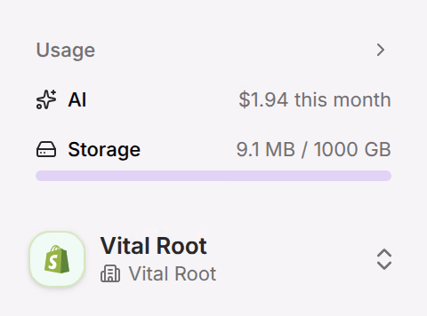 The foot of the sidebar: Usage, with this month’s AI spend and the storage used, and under it the store switcher showing Vital Root
