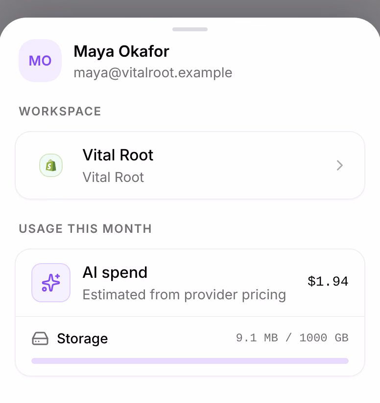 The account sheet on a phone: your name, Workspace with the store Vital Root, and Usage this month with AI spend and Storage