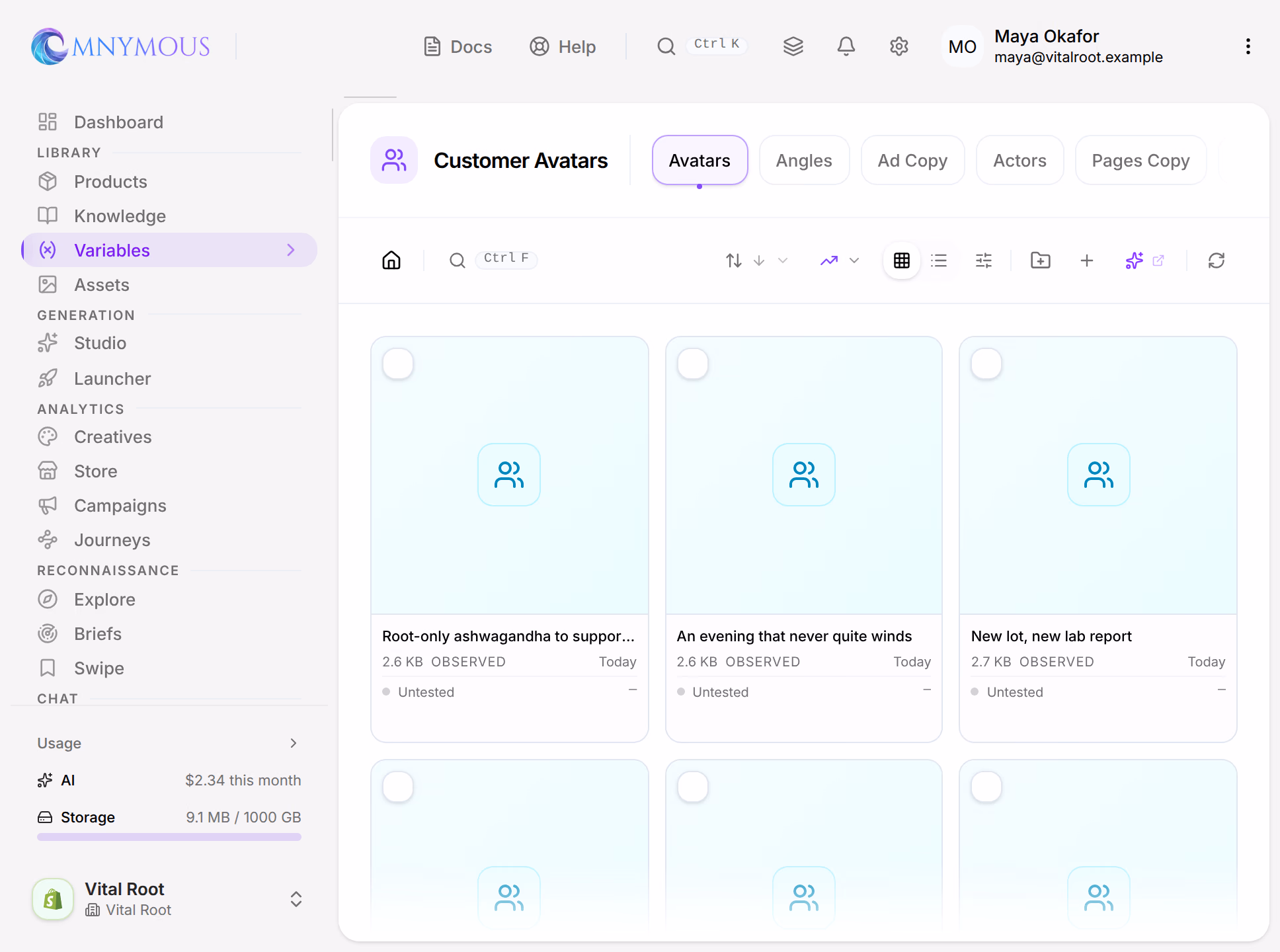 The Library on Variables, Customer Avatars: the sidebar's Library section with Products, Knowledge, Variables and Assets, the kinds of variable across the top, the toolbar, and avatar cards read from the store's ads, marked Observed and Untested