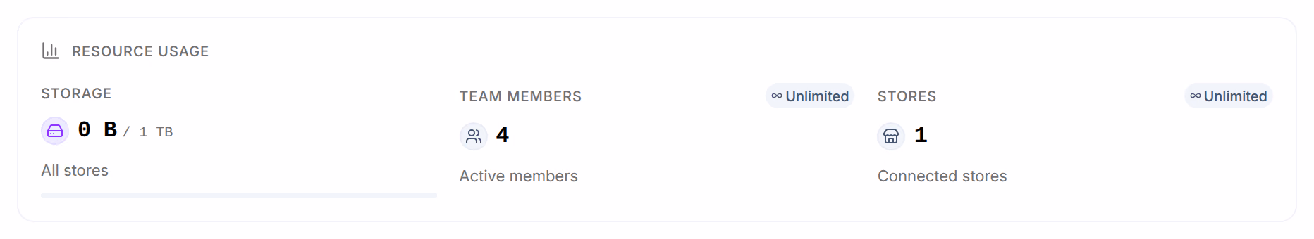 Resource Usage: Storage 0 B of 1 TB across all stores, Team Members 4 and Stores 1, both Unlimited